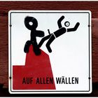 Wallflug