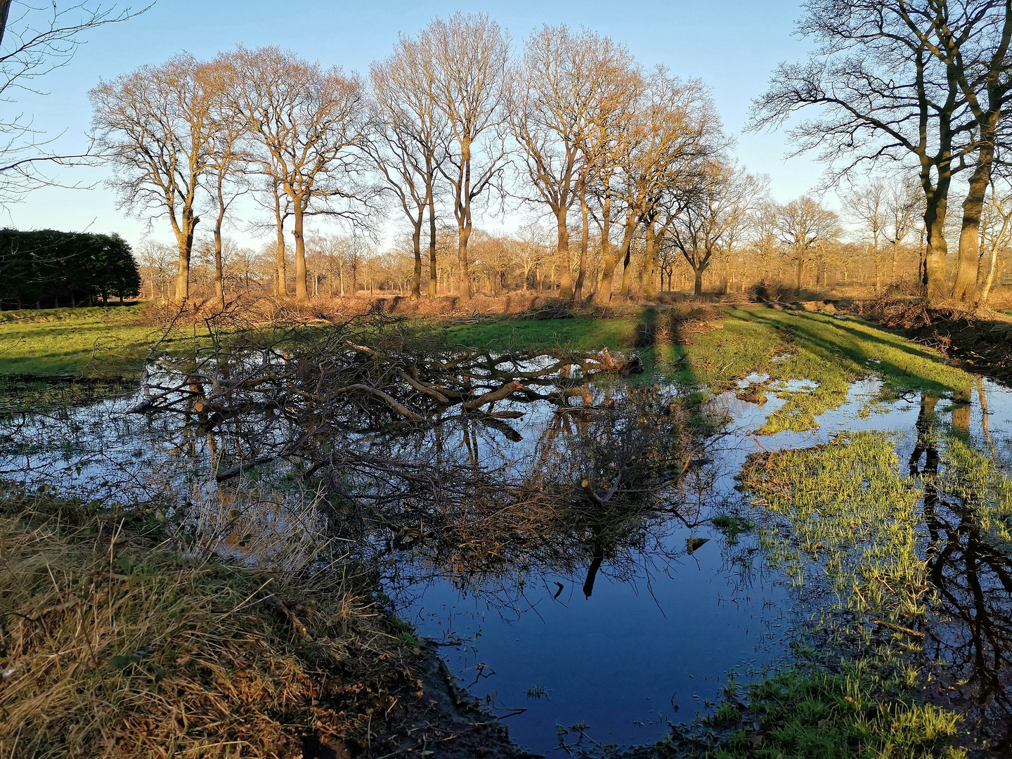 Wallheckenlandschaft nach Stürmen und Regen