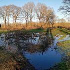 Wallheckenlandschaft nach Stürmen und Regen