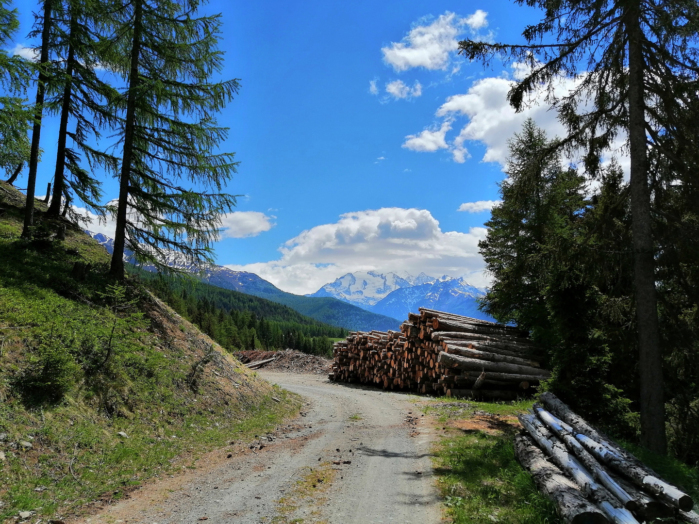 Wallis, Waldstrasse mit Aussicht 