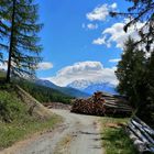 Wallis, Waldstrasse mit Aussicht 