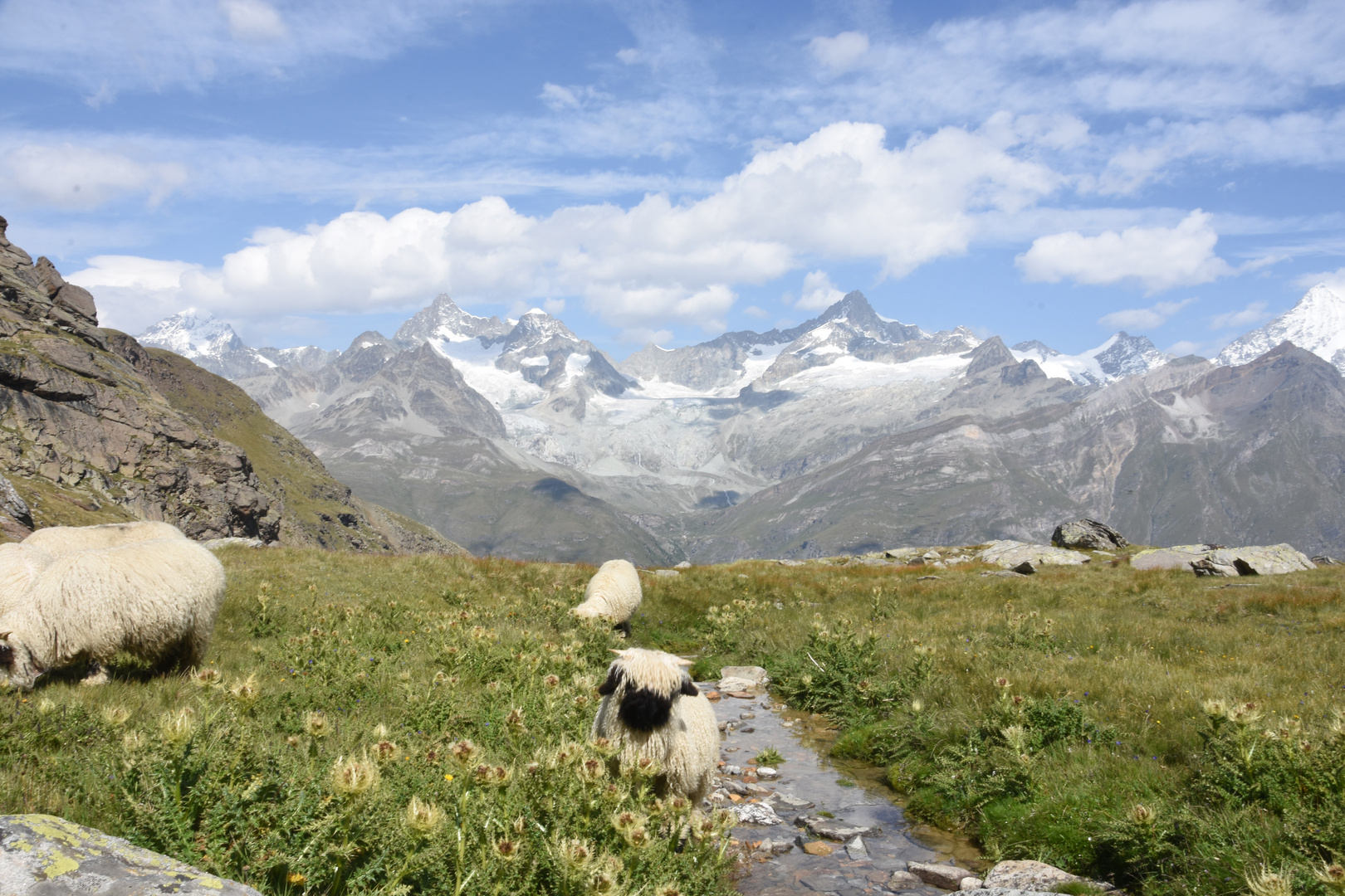 Walliser Alpen