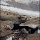 Walliser Alpen: Gefährlicher Gornergletscher (2)