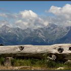 Walliser Bergzacken