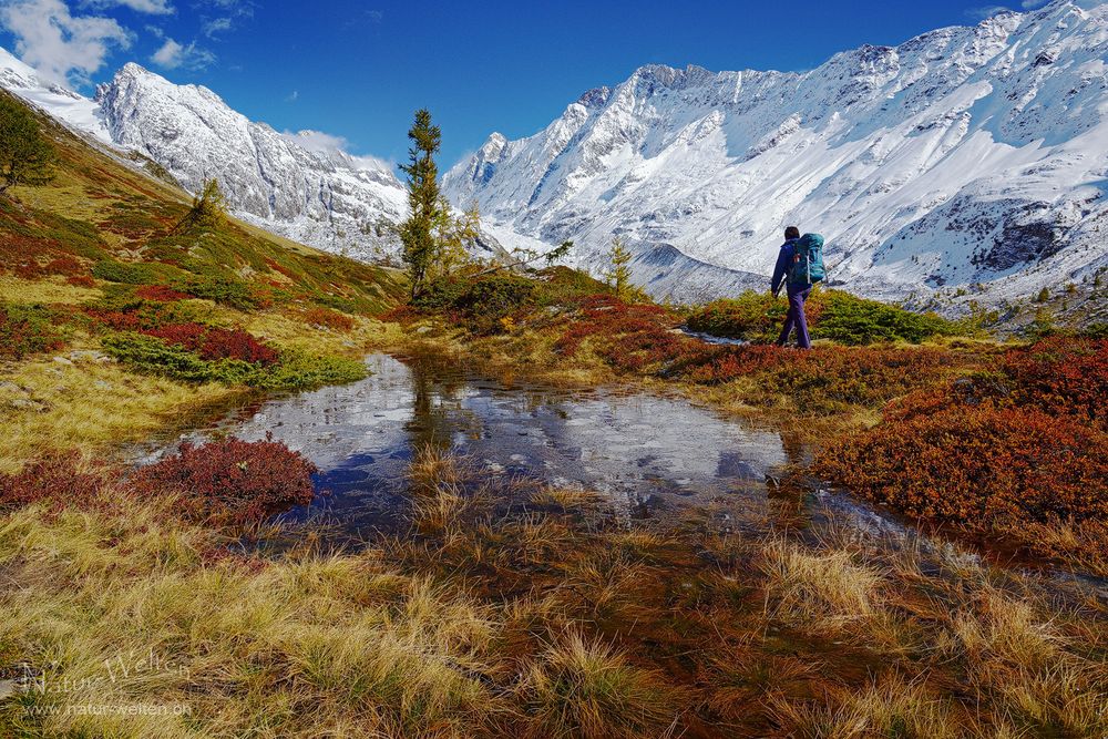 Walliser Himalaya