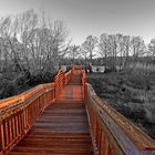 Wallisville, Texas-  Heritage Park pond  . . . 45 miles East of Houston on I-10