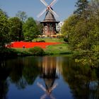 Wallmühle am 24.04.2011