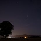 Walnussbaum mit Taunus und Hauch von Komet