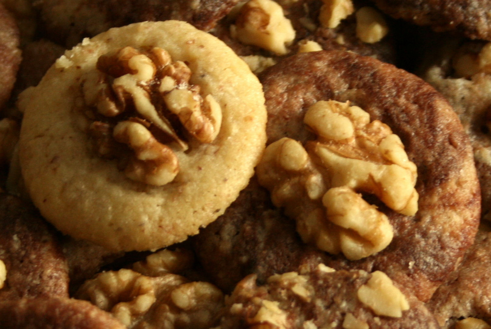 Walnussplätzchen Foto &amp; Bild | stillleben, food-fotografie, gebäck ...