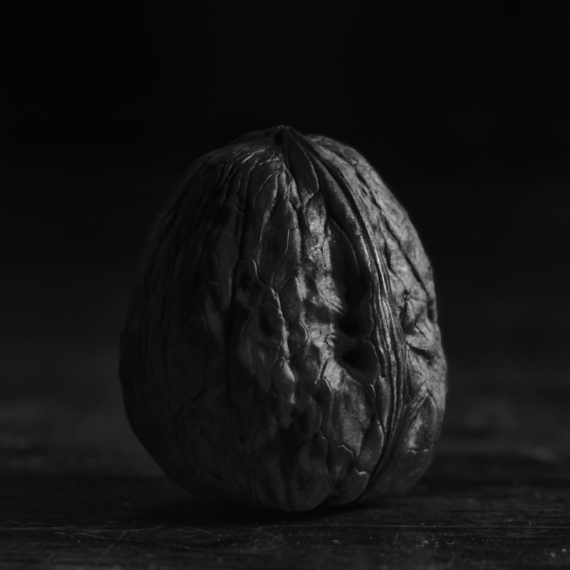 Walnut #1