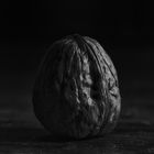 Walnut #1