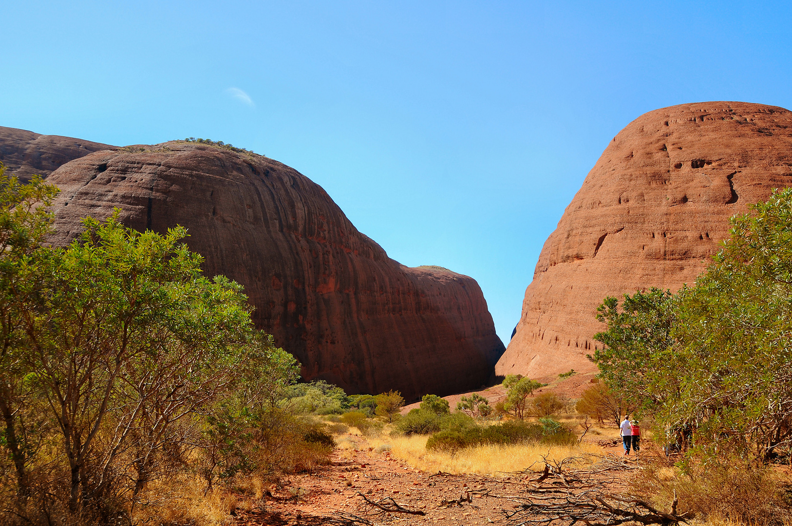 Walpa Gorge