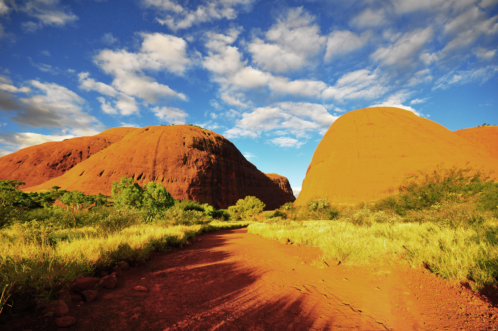 Walpa Gorge