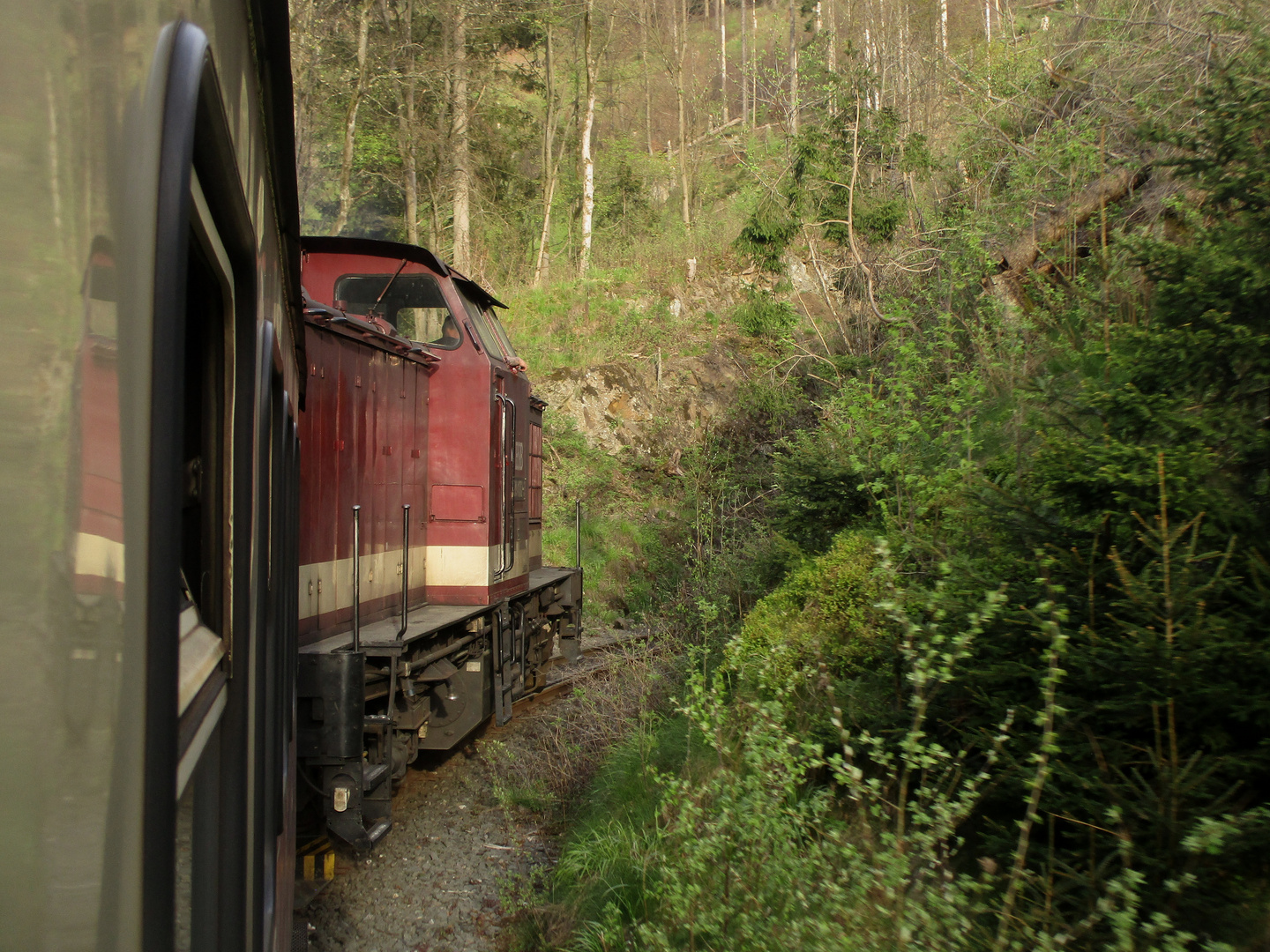 Walpurgisausflug mit dem Harzkamel zurück nach Eisfelder Talmühle 3.