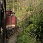 Walpurgisausflug mit dem Harzkamel zurück nach Eisfelder Talmühle 3.