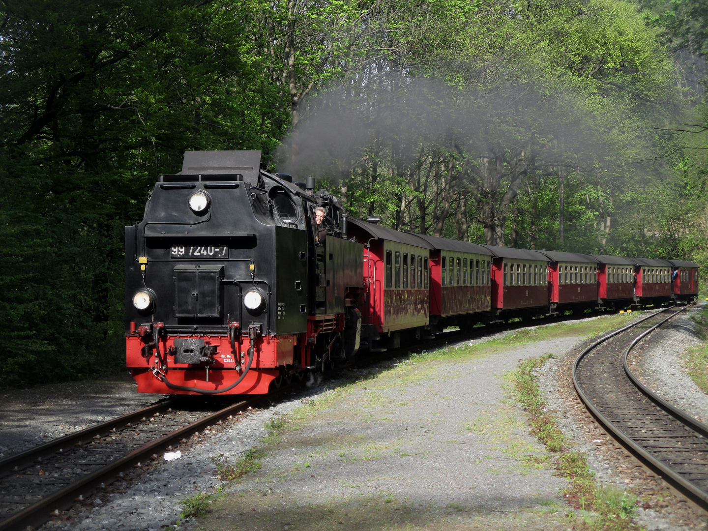 Walpurgisausflug mit der HSB nach Steinerne Renne 12.