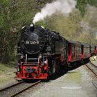 Walpurgisausflug mit der HSB nach Wernigerode 1.