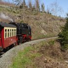 Walpurgisausflug mit der HSB nach Wernigerode 2.