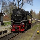 Walpurgisausflug mit der HSB nach Wernigerode 3.