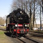 Walpurgisausflug mit der HSB nach Wernigerode 4.