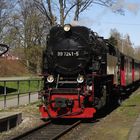 Walpurgisausflug mit der HSB nach Wernigerode 5.