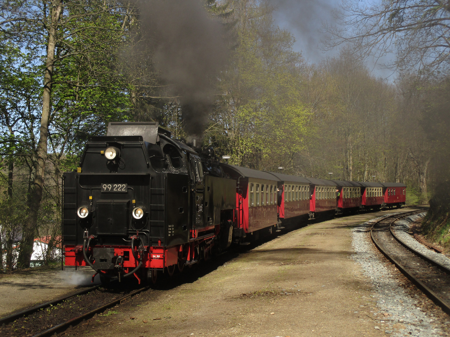 Walpurgisausflug mit der HSB nach Wernigerode 8.