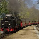 Walpurgisausflug mit der HSB nach Wernigerode 8.