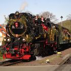 Walpurgisausflug mit der HSB nach Wernigerode 9.