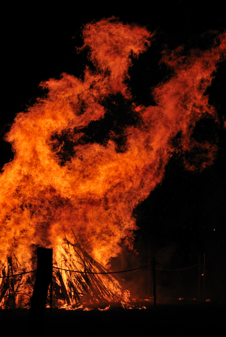 Walpurgisnacht -seht ihr ihn?