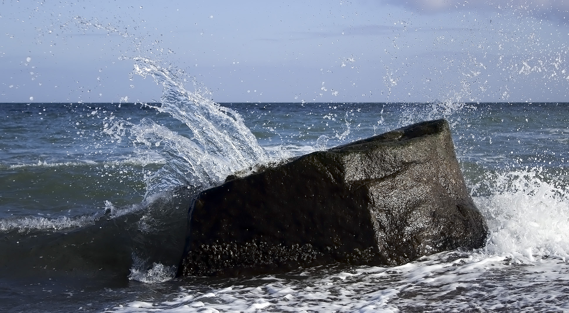 Walross in der Ostsee???