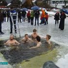 Walrossschwimmen im Titisee/Schwarzwald