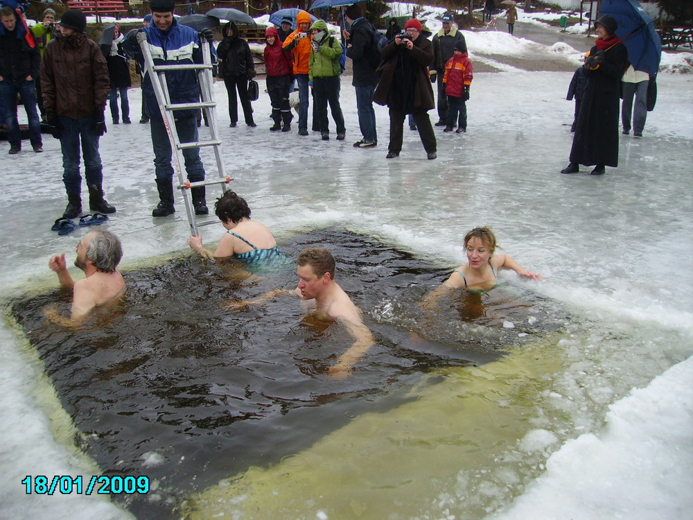 Walrossschwimmen im Titissee/Schwarzwald