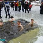 Walrossschwimmen im Titissee/Schwarzwald