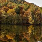 Walsee in der Pfalz