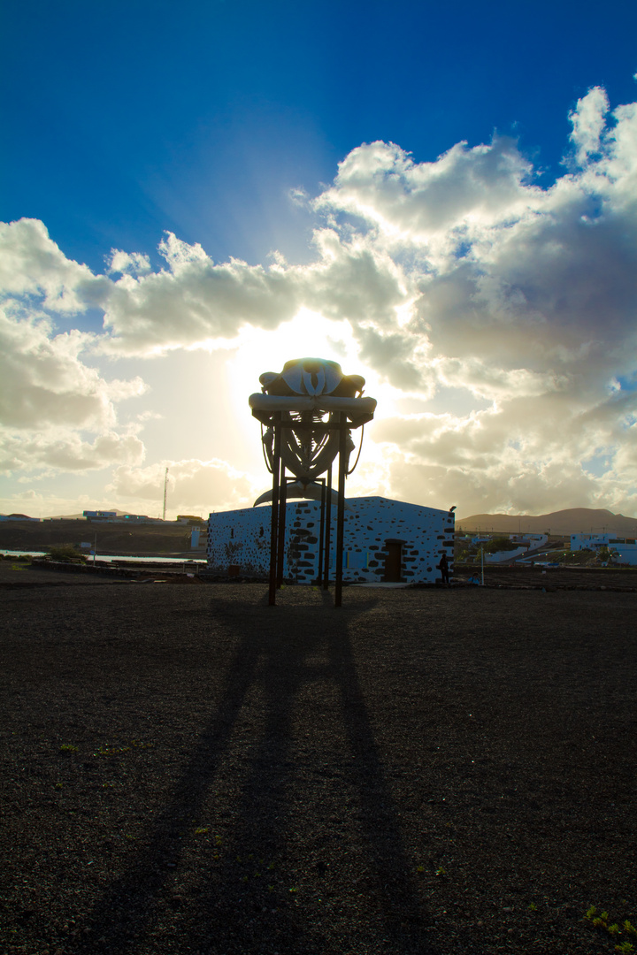 Walskelett auf Fuerteventura