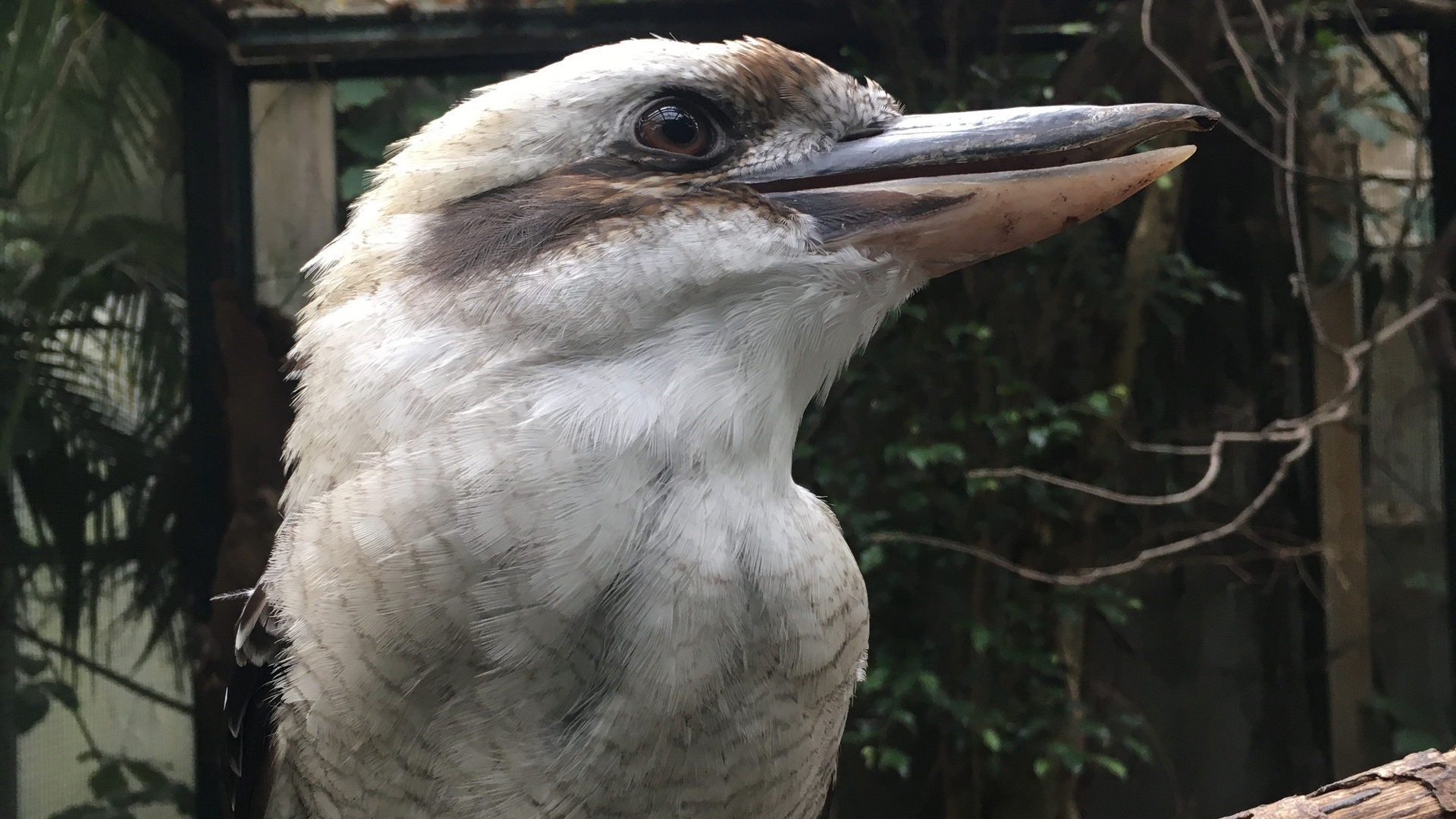 Walsrode (2021), Weltvogelpark (12/20)