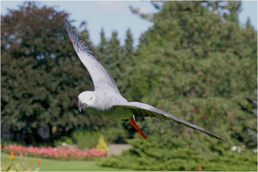 Walsrode Vogelpark 10