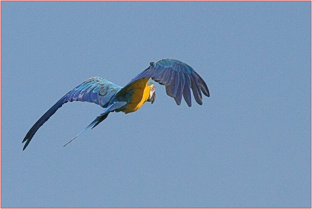 Walsrode Vogelpark 11