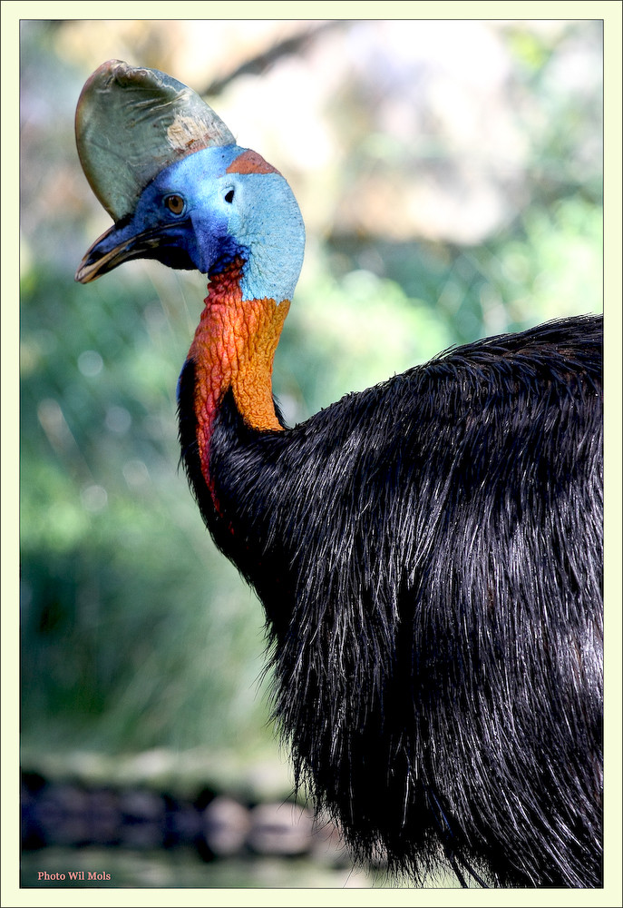 Walsrode Vogelpark 6