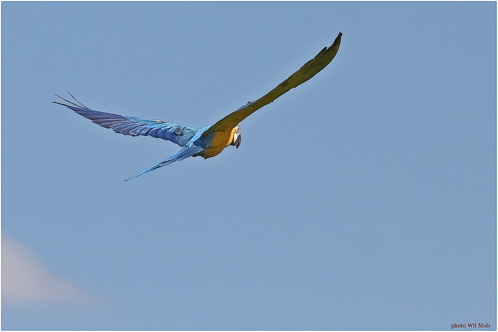 Walsrode Vogelpark 8