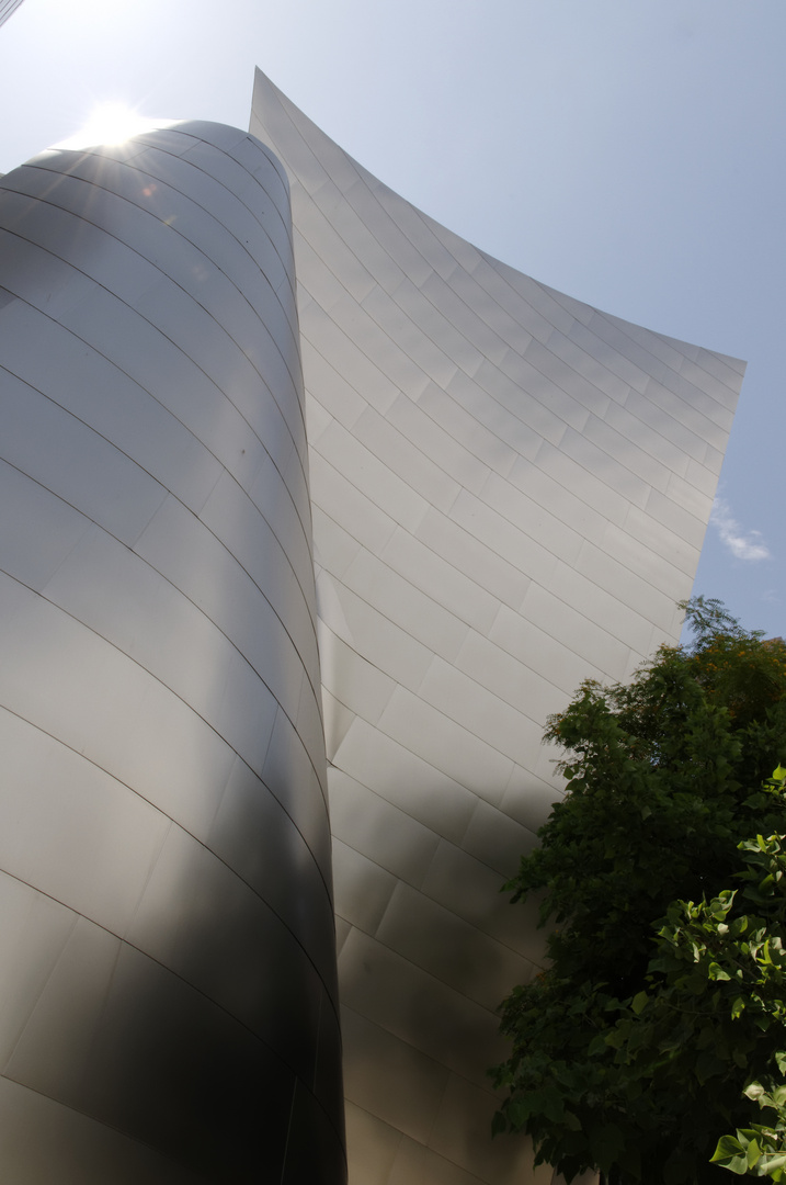 Walt Disney Concert Hall 1