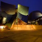 Walt Disney Concert Hall 1