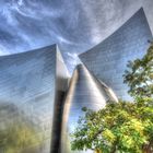 Walt Disney Concert Hall