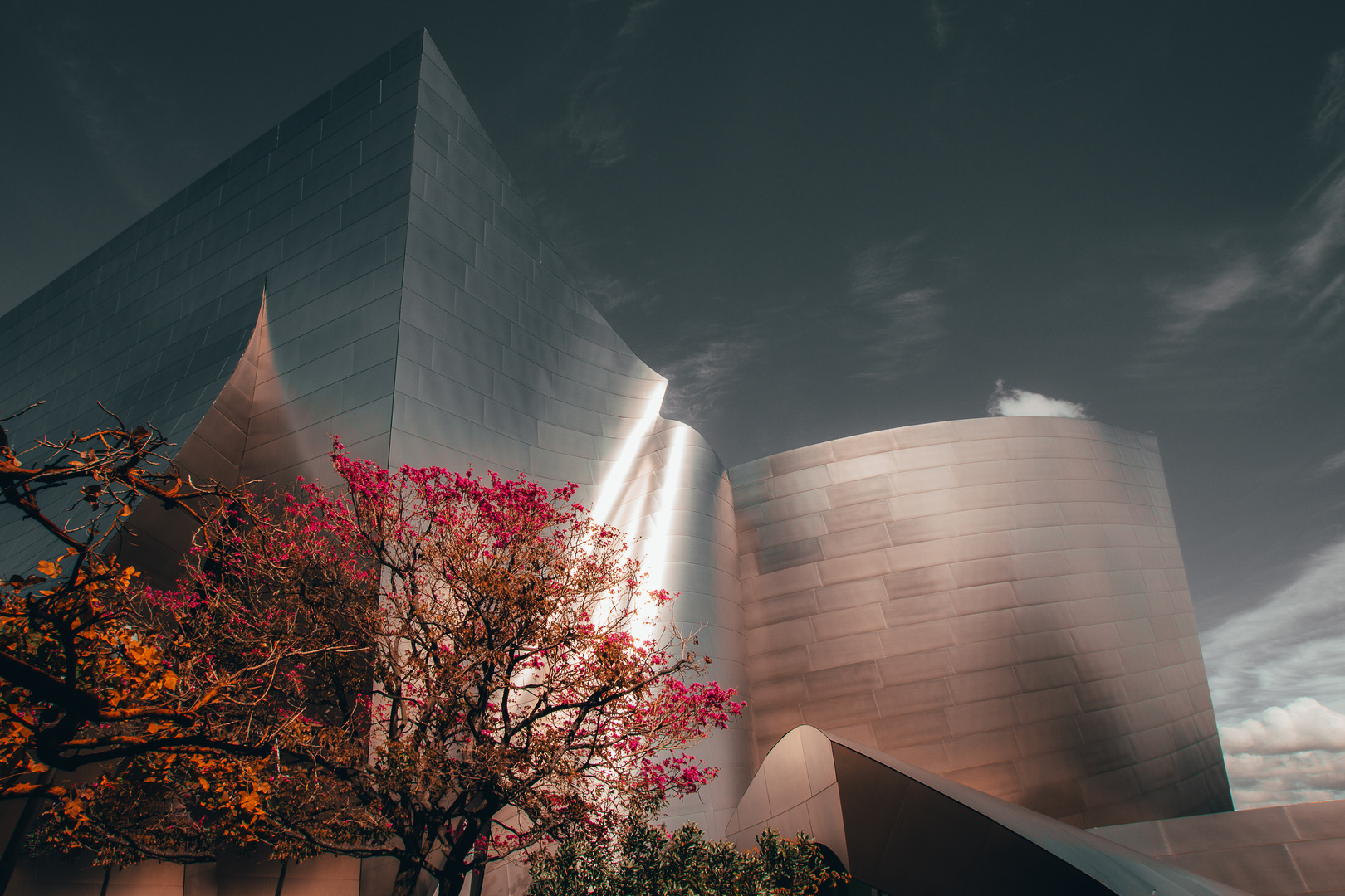 Walt Disney Concert Hall