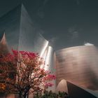 Walt Disney Concert Hall