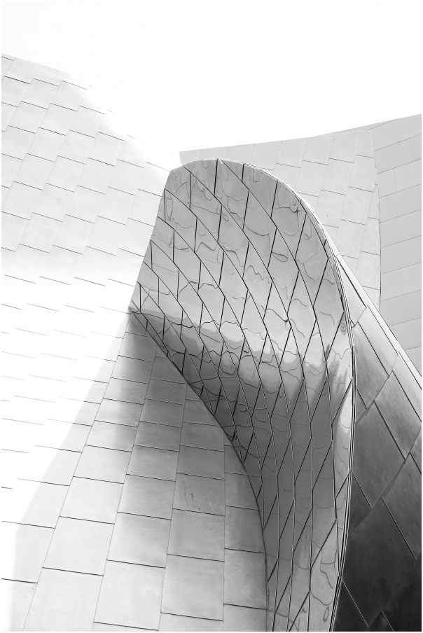 Walt Disney Concert Hall