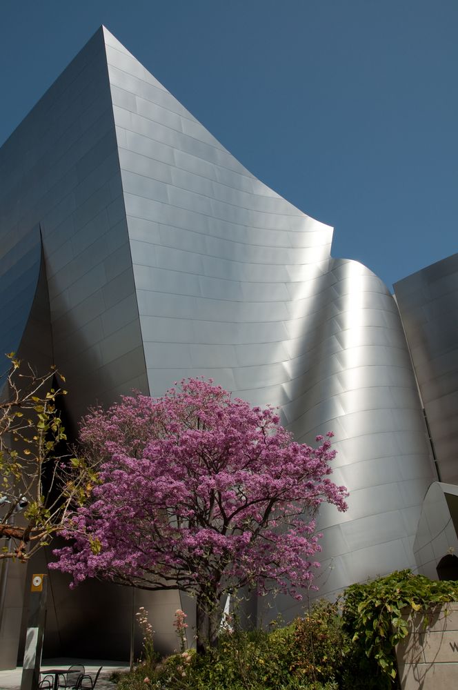 Walt Disney Concert Hall III