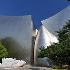 Walt Disney Concert Hall in LA