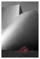 Walt Disney Concert Hall in LA