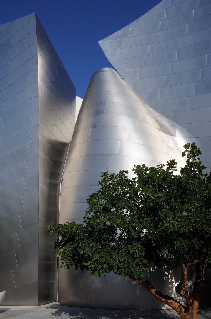 Walt Disney Concert Hall LA